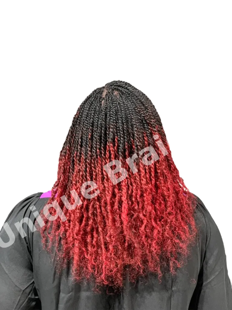 compressed-Kinky Braids_with_bg_hl1abzgh_watermarked.webp